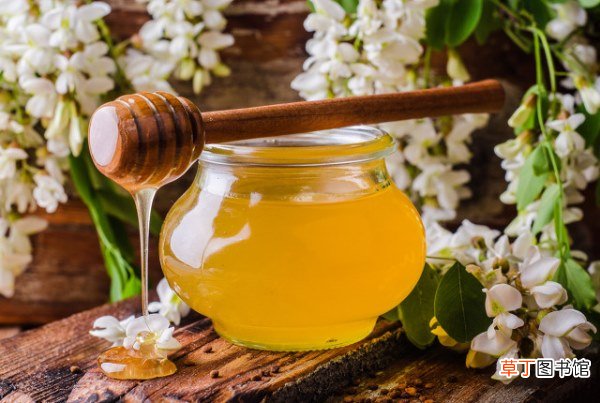 槐花泡水有什么功效,槐花的食用方法？