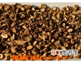 防风功效与作用 防风副作用 防风种植