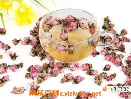 干桃花如何泡水 正确干桃花泡水方法
