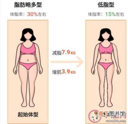 瘦肚子最有效的方法是什么 腹愁者是如何瘦肚子的