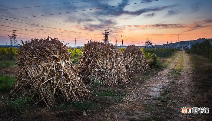 梦见去一个地方找不到路