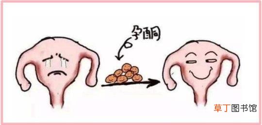 绒促打5000还是10000 为什么打绒促