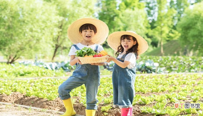 梦见两个小孩一男一女