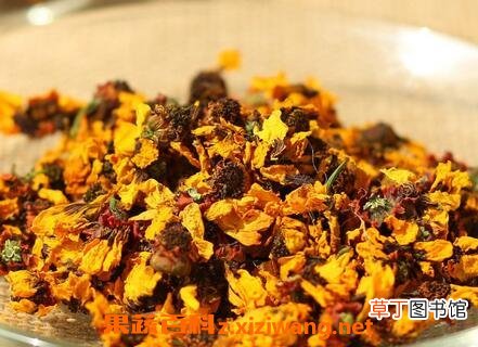 雪菊的功效与作用 雪菊的食用方法及禁忌
