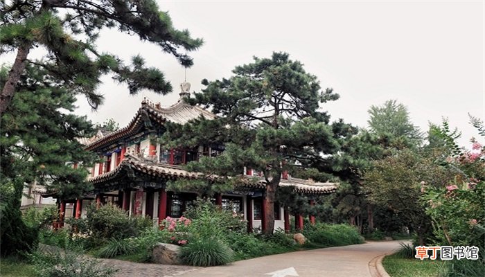 梦见自己向别人问路有人指引
