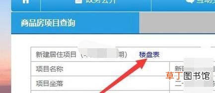 如何查询武汉市在售项目备案价