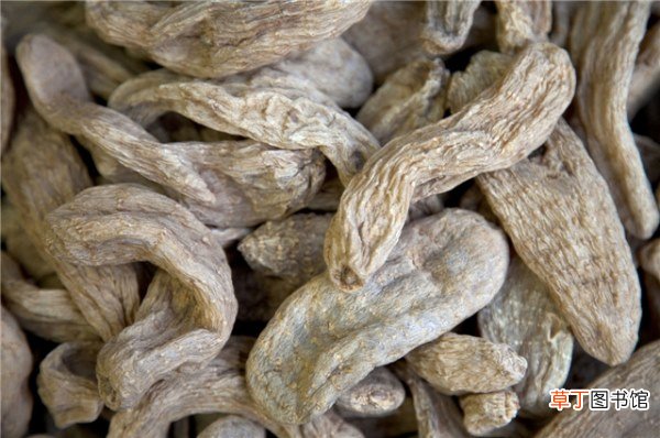 天麻的最佳配伍,食用天麻有哪些好处？