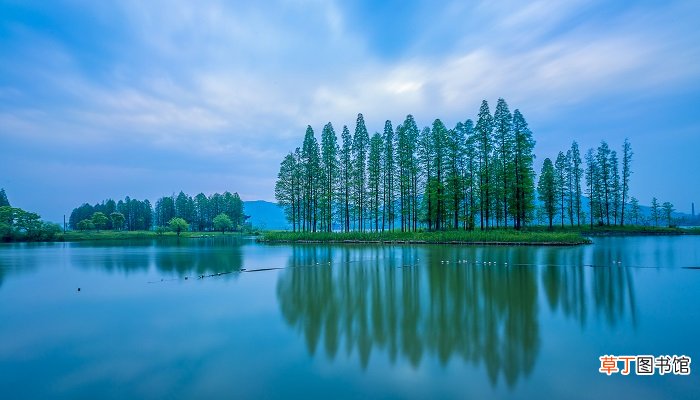 梦见湖水