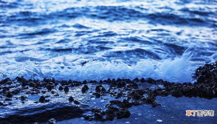 梦见海水涨潮是什么意思