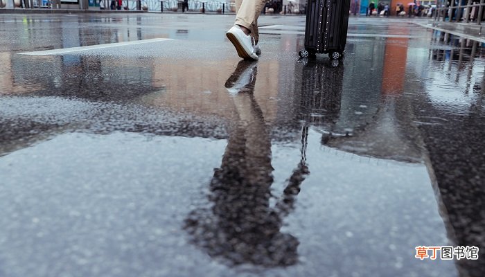 女人梦见下雨路上全是水