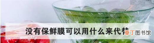 没有保鲜膜可以用什么来代替