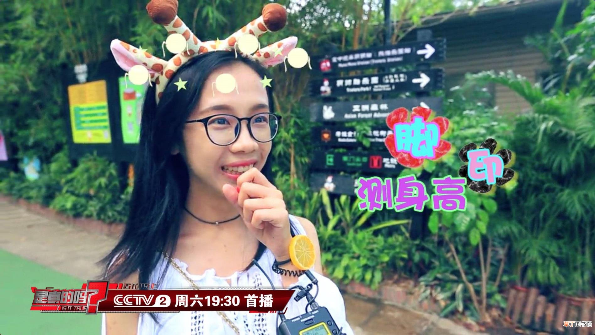 大象为什么用鼻子喝水不用嘴喝水 大象为什么怕老鼠