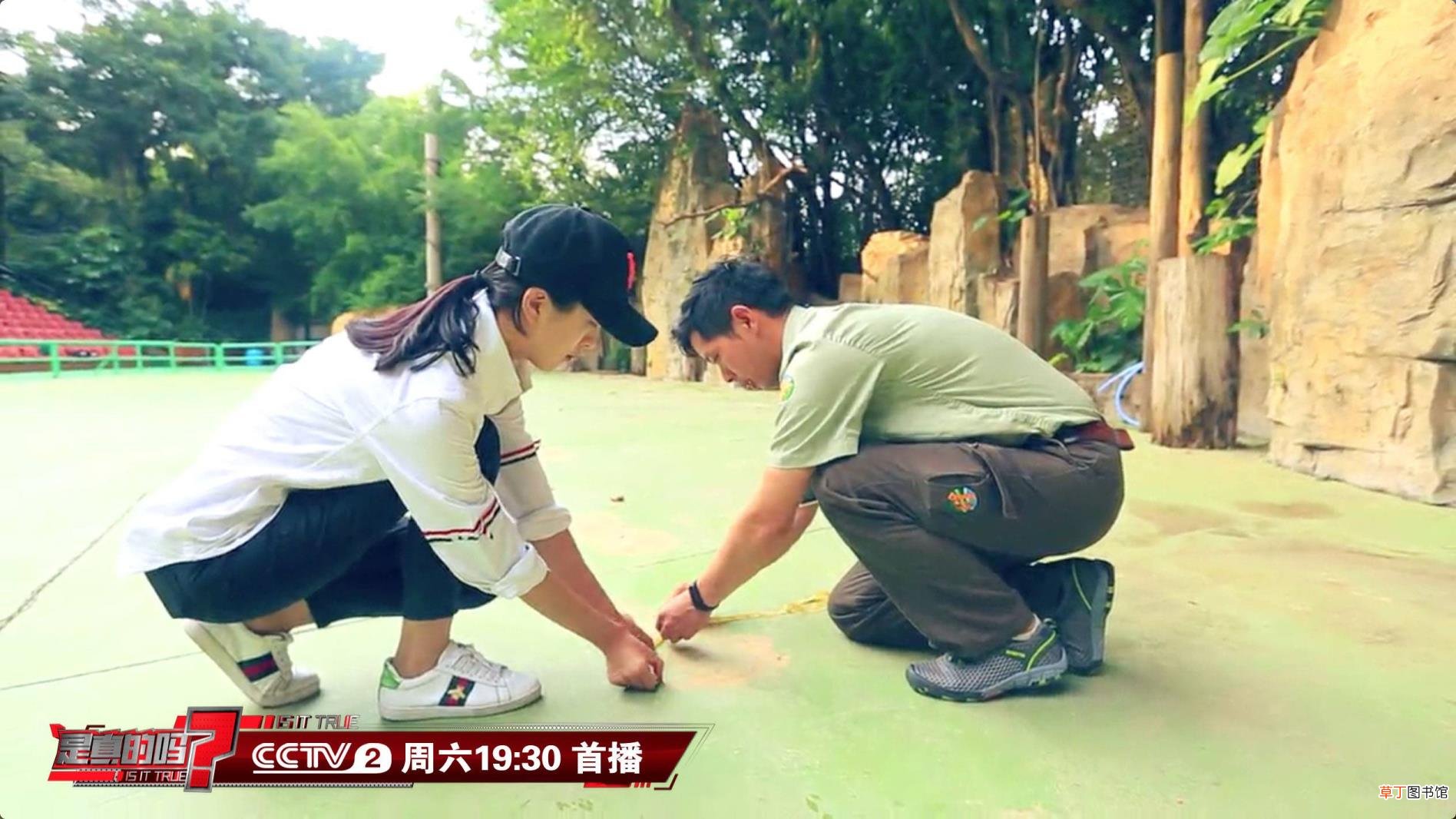 大象为什么用鼻子喝水不用嘴喝水 大象为什么怕老鼠
