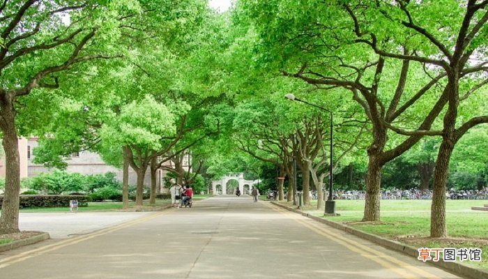 梦见考上大学是什么预示