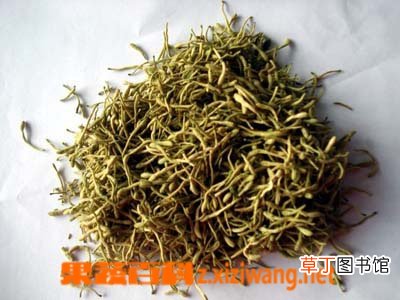 甘草的功效与作用