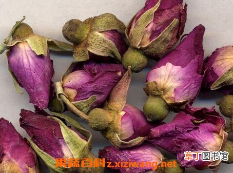 玫瑰花的功效与作用 玫瑰花的药用价值