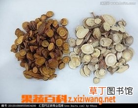 甘草的功效和作用