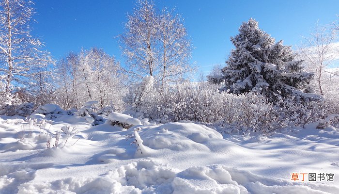 冬天梦见下雪是什么意思