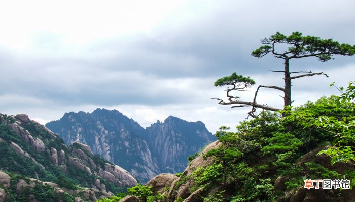 梦见在山顶