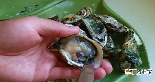牡蛎内脏怎么去除