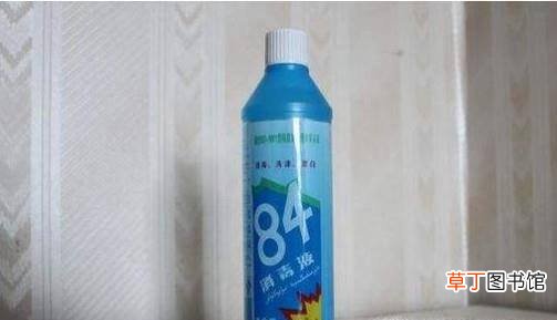 家里跳蚤怎么消灭,如何正确消灭跳蚤