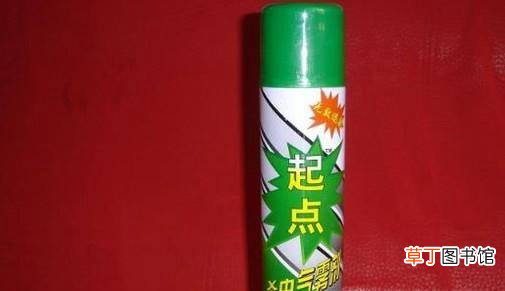 家里跳蚤怎么消灭,如何正确消灭跳蚤