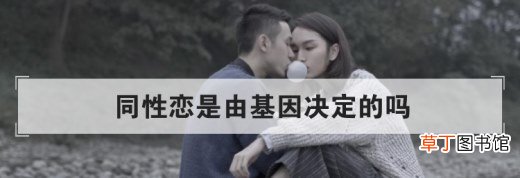 同性恋是由基因决定的吗？