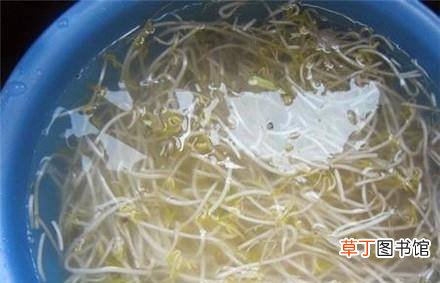 豆芽去皮小妙方