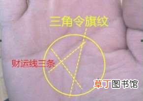 三角令旗纹是什么手相?手相三角令旗纹有什么说法吗?三角令旗纹是带天命吗