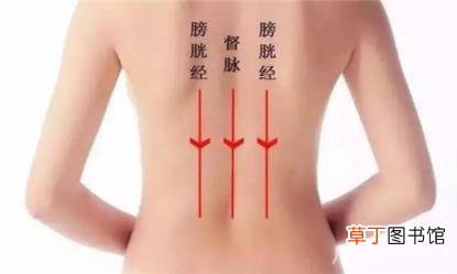背部有个黑色硬疙瘩 后背为什么长疙瘩
