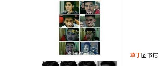秋梨膏是什么梗？