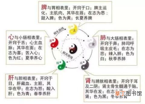 手上湿疹 屁股为什么湿疹怎么办啊
