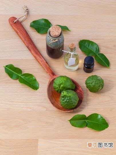 夏天的特点 夏天为什么没食欲