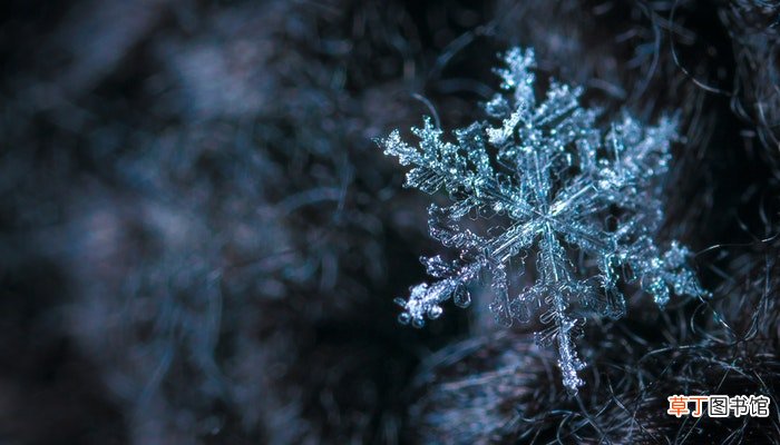 梦见下大雪了