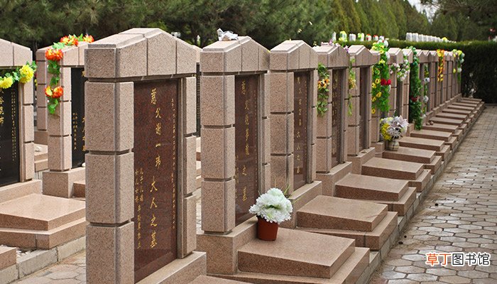 梦见去坟地是什么意思