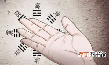 有通天纹的女人罕见?有通天纹的女人命运?女人有通天纹的人多吗
