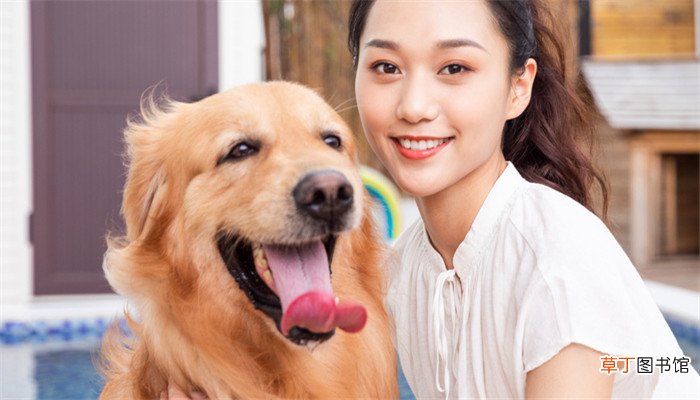 女人梦见好多狗围着我