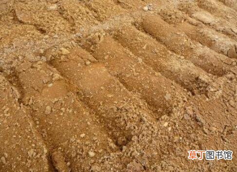 壤土是什么土