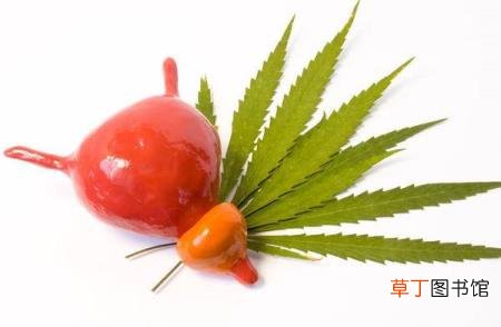 女性正确膀胱位置 膀胱为什么会痛
