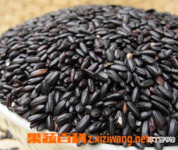 黑米的功效与作用 黑米怎么吃