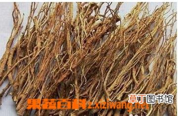柴胡的功效和作用有哪些