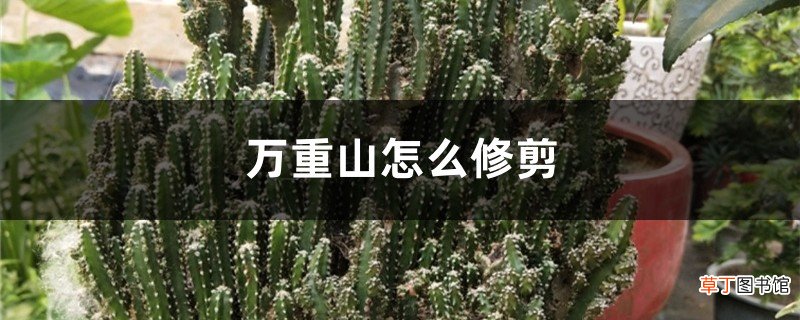 万重山怎么修剪