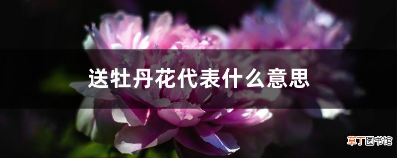 送牡丹花代表什么意思