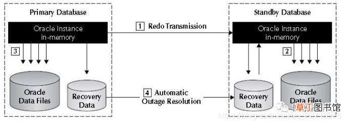 Oracle区别ADG与DG案例详解