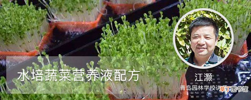 水培蔬菜营养液配方