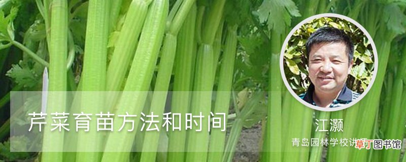 芹菜育苗方法和时间