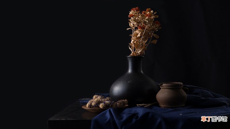 干花需要插在水里吗