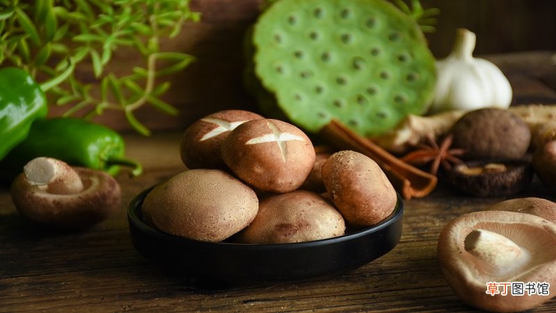 干花菇怎么泡发泡多久
