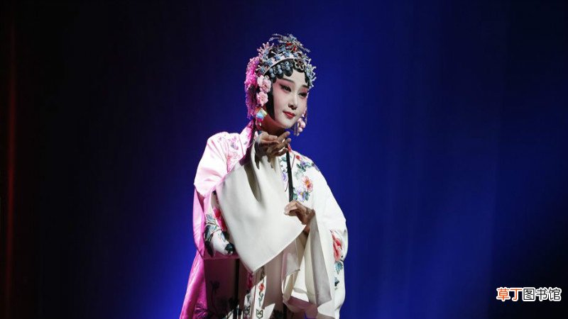 中国有哪些戏种