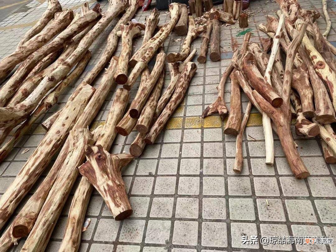 海南黄花梨值钱吗 黄花梨为什么贵